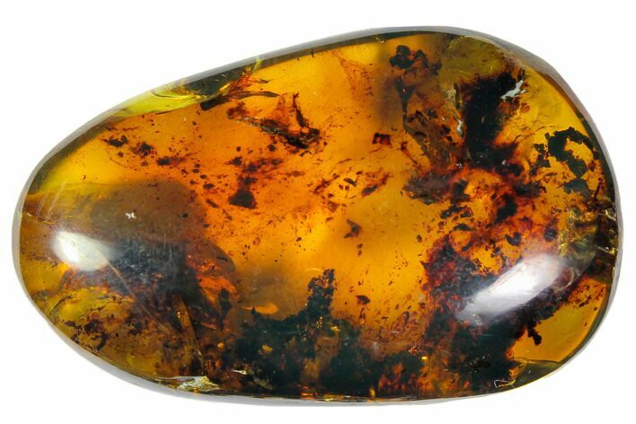Polished Chiapas Amber ( g) - Mexico #114704